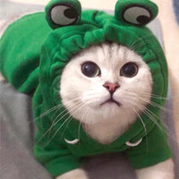 Thumbnail for A white cat in a green frog-eyed hoodie, featured on KittyNook Cat Co.’s Cute Pets Sweatshirt—purrfect for paw parents!.