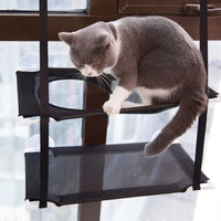Thumbnail for A gray and white cat sits on the KittyNook Cat Co. Space-Saving Double Hanging Pet Bed, gazing out the window.