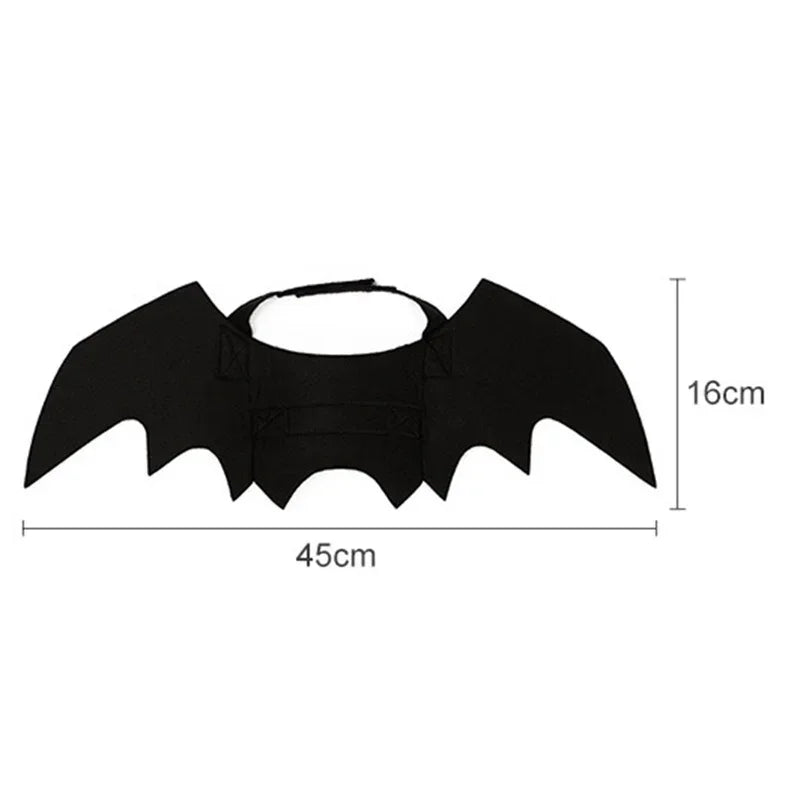 Halloween Bat Wing Cat Costume
