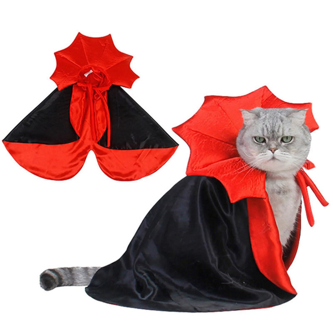 A gray cat wears a KittyNook Cat Co. Cute Halloween Cat Costume: a black and red cape with dramatic collar.