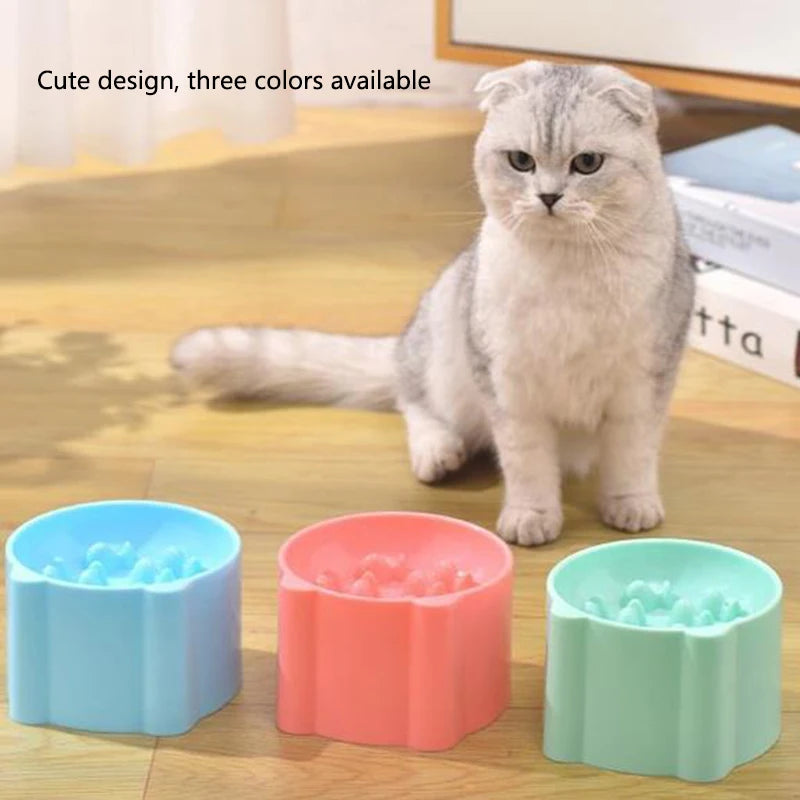 Gray cat sits by KittyNook’s Elevated Anti-Choke Slow Feeder Bowls, now in blue, pink, and green. Cute and colorful!.