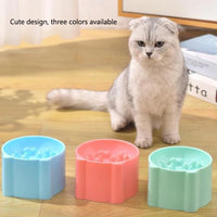 Thumbnail for Gray cat sits by KittyNook’s Elevated Anti-Choke Slow Feeder Bowls, now in blue, pink, and green. Cute and colorful!.