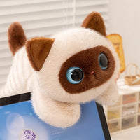 Thumbnail for KittyNook Cat Co. Cute Big Eyes Kitten Stuffed Animal Plush Pillow—perfect cat lover gift with blue eyes, brown ears.