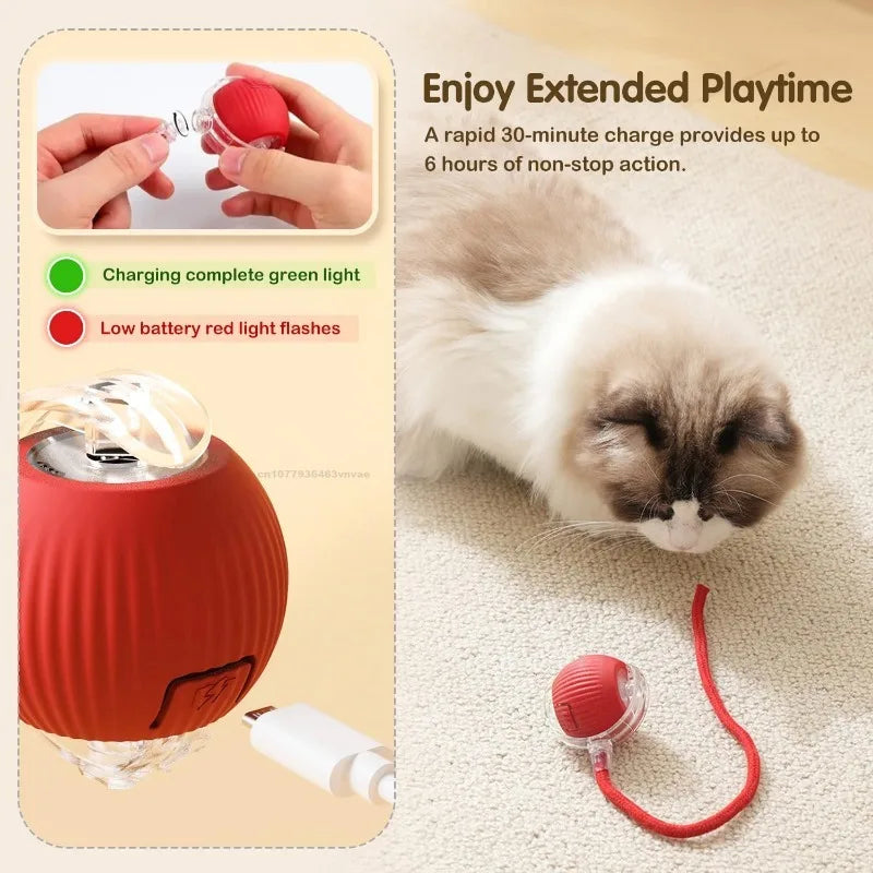 A cat watches the KittyNook Cat Co. Smart Rolling Cat Ball with charging light, offering 4 hours of interactive play.