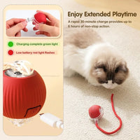 Thumbnail for A cat watches the KittyNook Cat Co. Smart Rolling Cat Ball with charging light, offering 4 hours of interactive play.