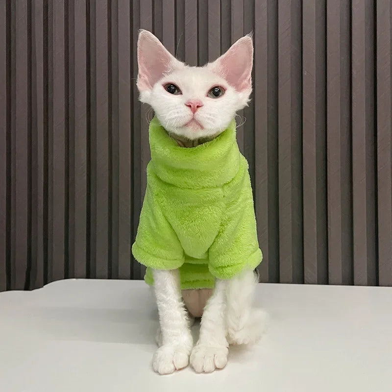 A hairless kitten in a KittyNook Cat Co. Warm Winter Hoodie sits on a white surface before gray blinds.