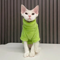 Thumbnail for A hairless kitten in a KittyNook Cat Co. Warm Winter Hoodie sits on a white surface before gray blinds.