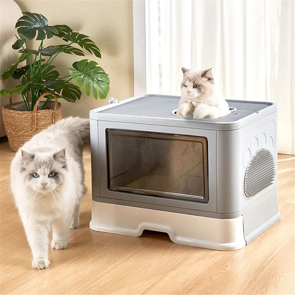 Two fluffy cats explore the KittyNook Purrfect Foldable Litter Solution, featuring a Dual-Entry Design for easy access.