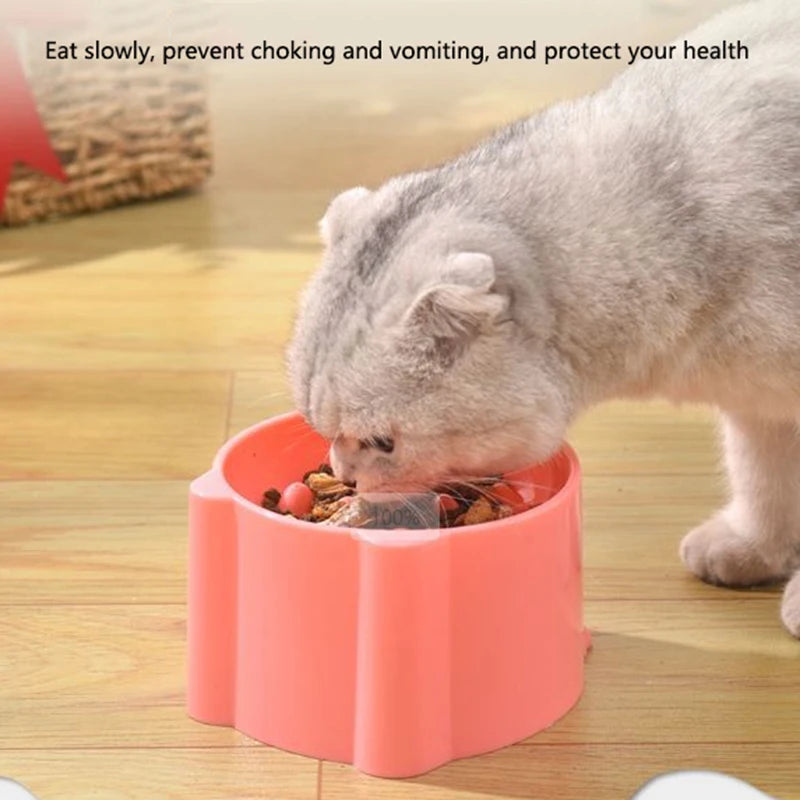 Gray cat eats from KittyNook Cat Co.’s Elevated Anti-Choke Slow Feeder Bowl; health tip shown above on wooden floor.