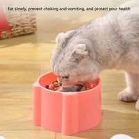 Thumbnail for Gray cat eats from KittyNook Cat Co.’s Elevated Anti-Choke Slow Feeder Bowl; health tip shown above on wooden floor.