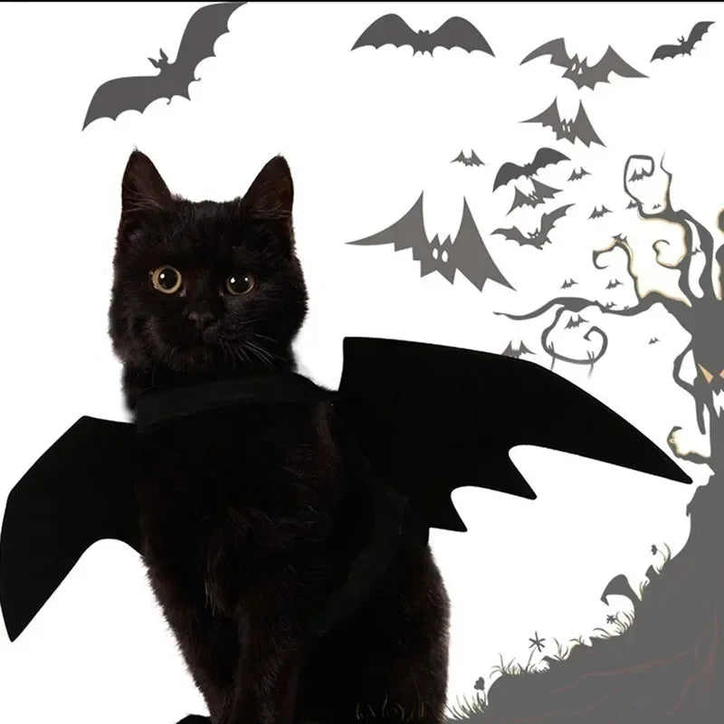 Halloween Bat Wing Cat Costume