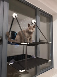 Thumbnail for Gray cat on a KittyNook Cat Co. Space-Saving Double Hanging Pet Bed, looking at the camera.