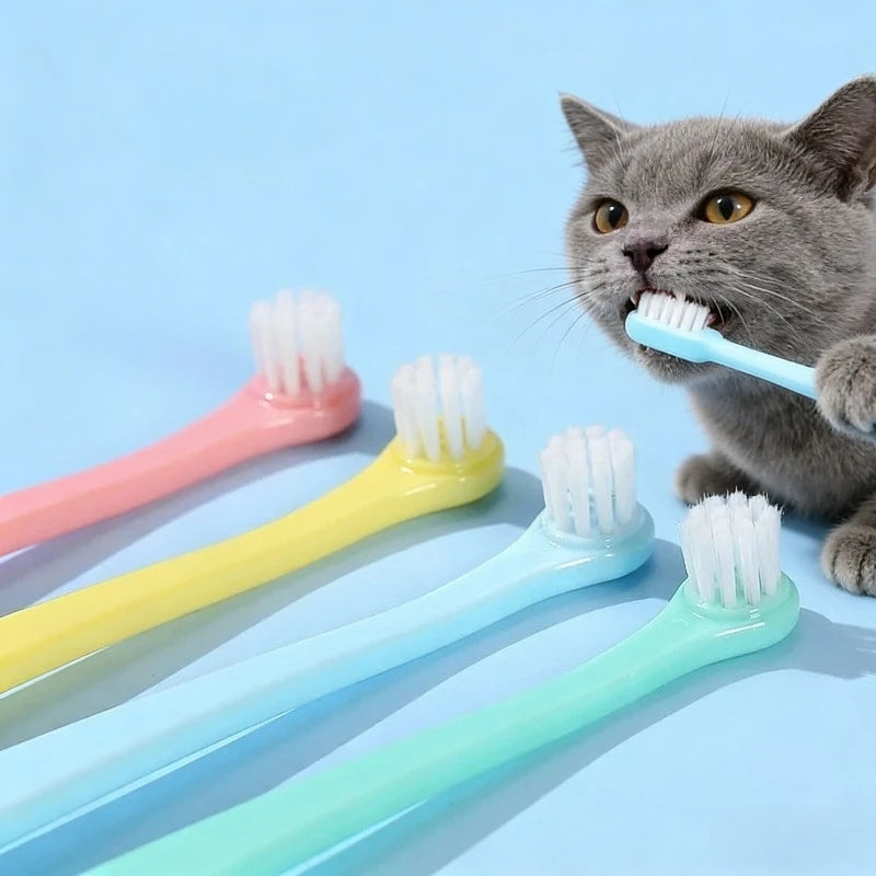 A gray cat bites a KittyNook Cat Co. Kitty Clean Micro Head Dental Brush near three others on light blue.