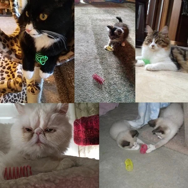 Six cats play with KittyNook Cat Co.'s Colorful Spiral Spring Cat Toy Pack, looking curious and playful together.