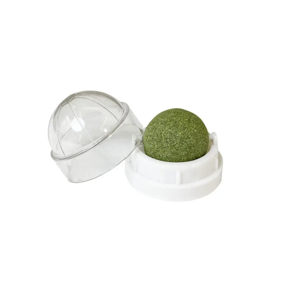 The Stick-On Natural Catnip Ball for Cats by KittyNook Cat Co.—an interactive treat toy with a clear-lidded white holder.