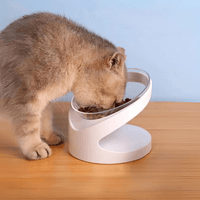 Thumbnail for Cat Eating in the Sleek Eats Modern Cat Bowl With Stand