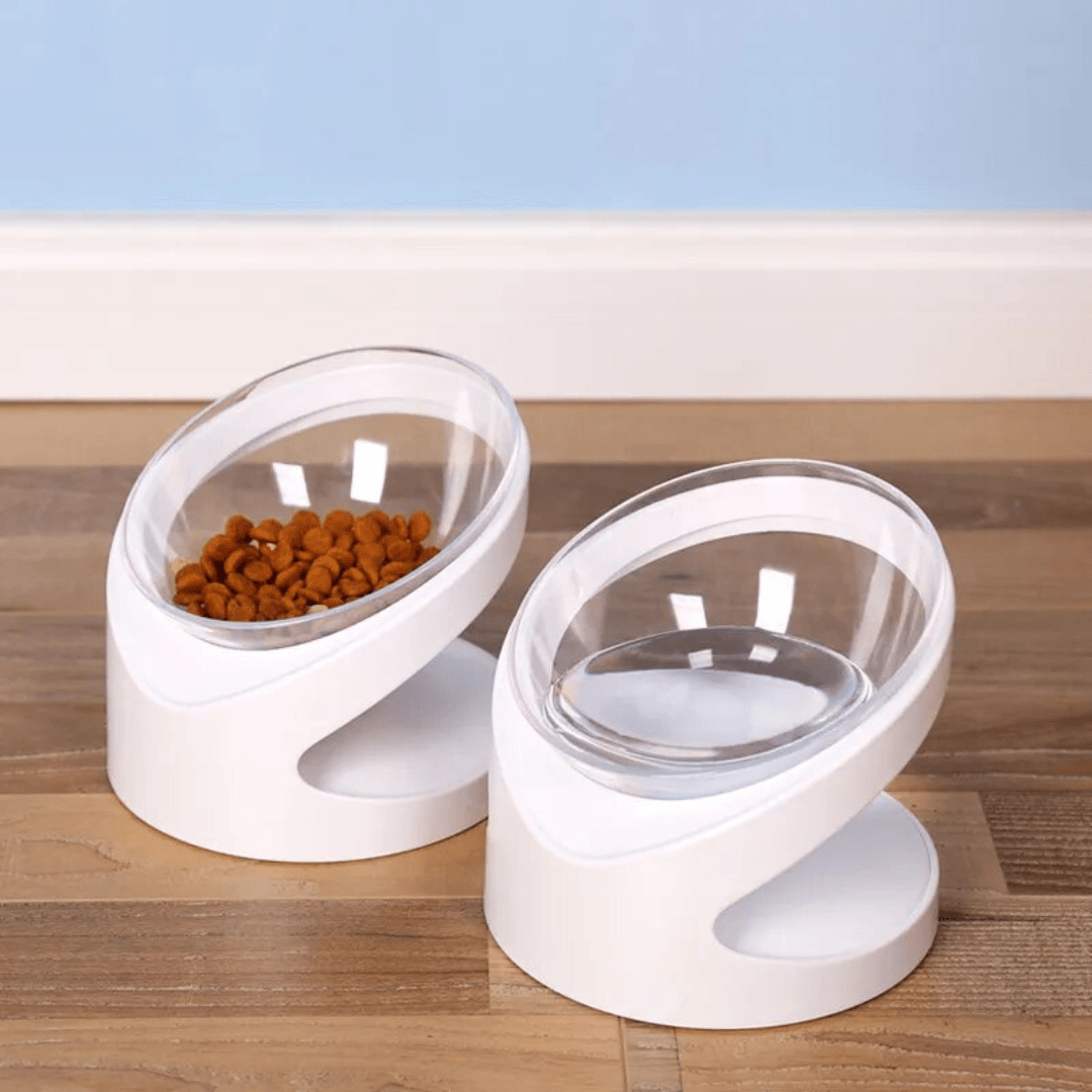 Sleek Eats Modern Cat Bowl With Stand Product Show