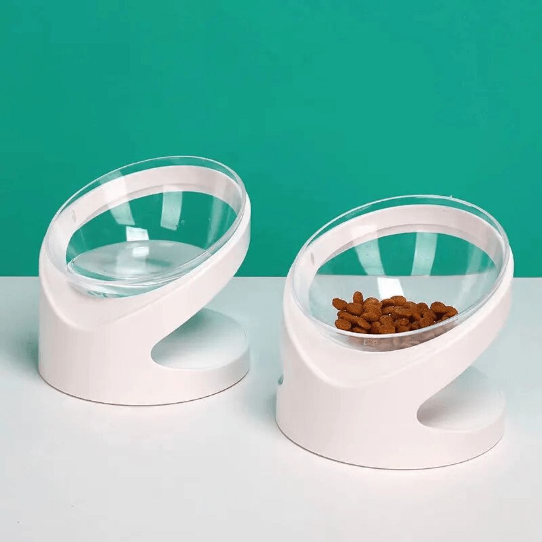 Sleek Eats Modern Cat Bowl With Stand Product Show two bowls