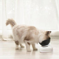 Thumbnail for Anti-Vomiting Orthopedic Pet Bowl - KittyNook