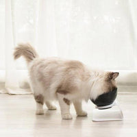 Thumbnail for Anti-Vomiting Orthopedic Cat Bowl Pet Bowls, Feeders & Waterers KittyNook   