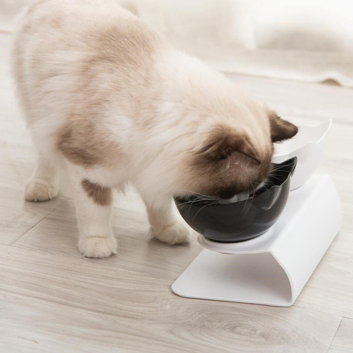 Anti-Vomiting Orthopedic Pet Bowl - KittyNook