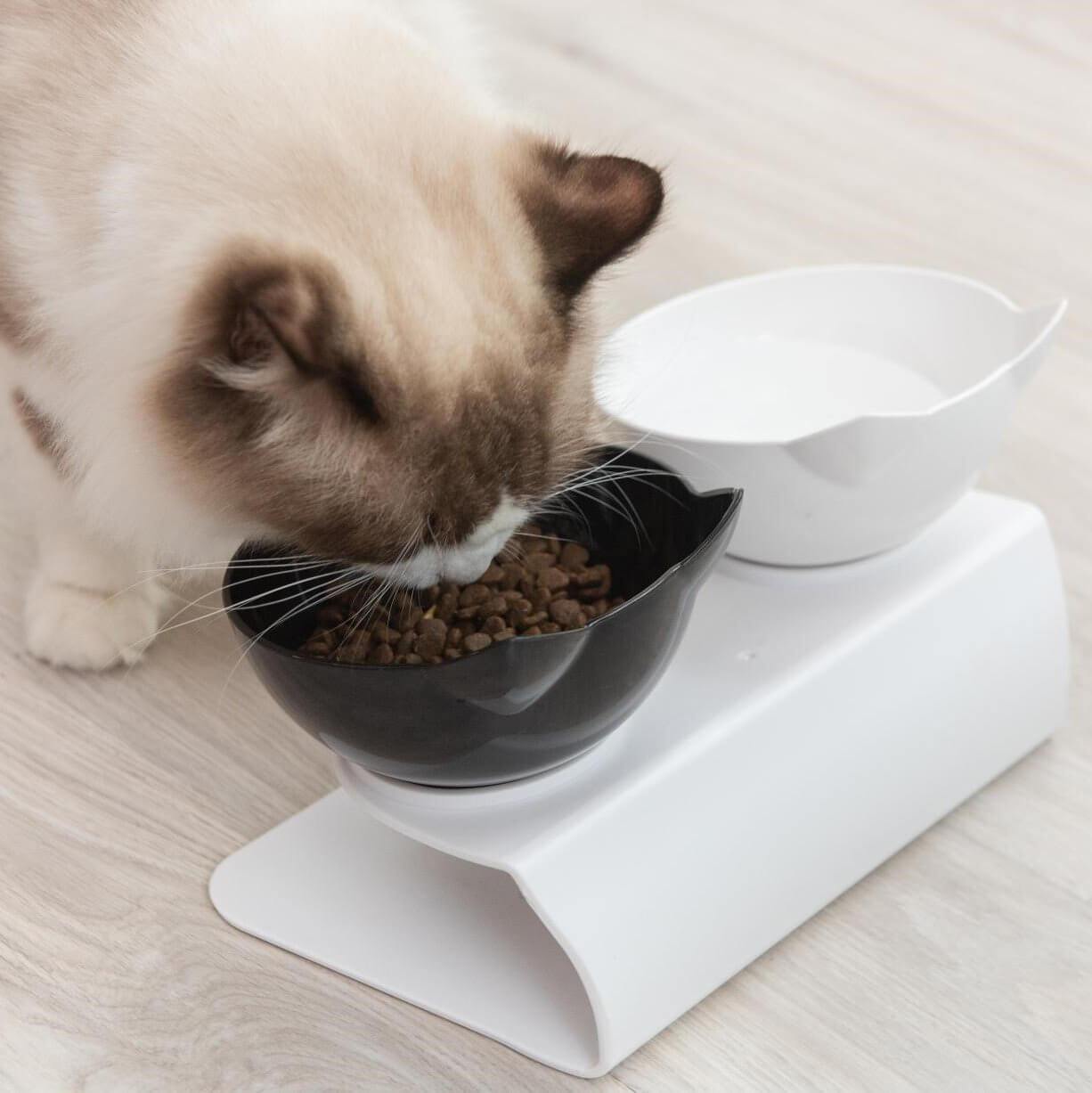 Anti-Vomiting Orthopedic Cat Bowl Pet Bowls, Feeders & Waterers KittyNook White & Black Bowls  