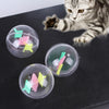 Load image into Gallery viewer, Bubble Cat Ball Toys Set - KittyNook Cat Company
