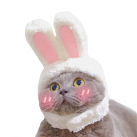Thumbnail for Bunny-Ears Cat Costume - KittyNook