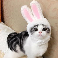Thumbnail for Bunny-Ears Cat Costume - KittyNook