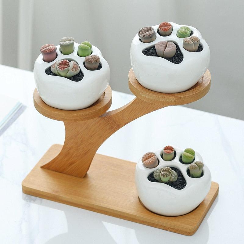 Cat Paw Indoor Plant Pot - KittyNook Cat Company