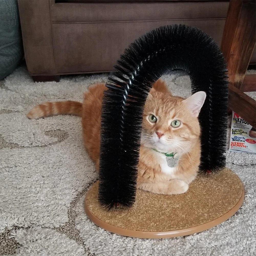 Cat Self-Groomer Arch - KittyNook