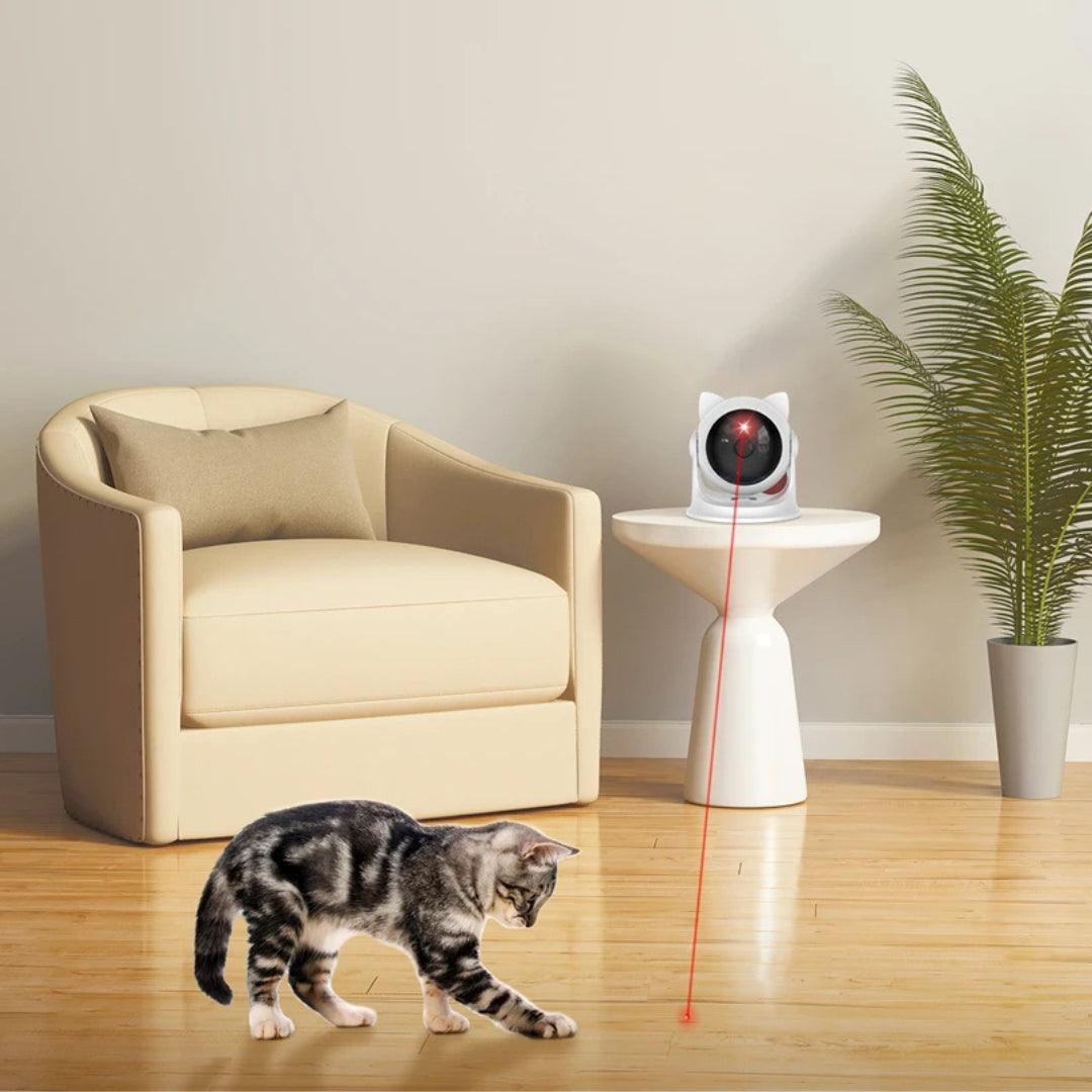 CatCam Interactive Cat Laser Pointer Cat Toys KittyNook Cat Company   