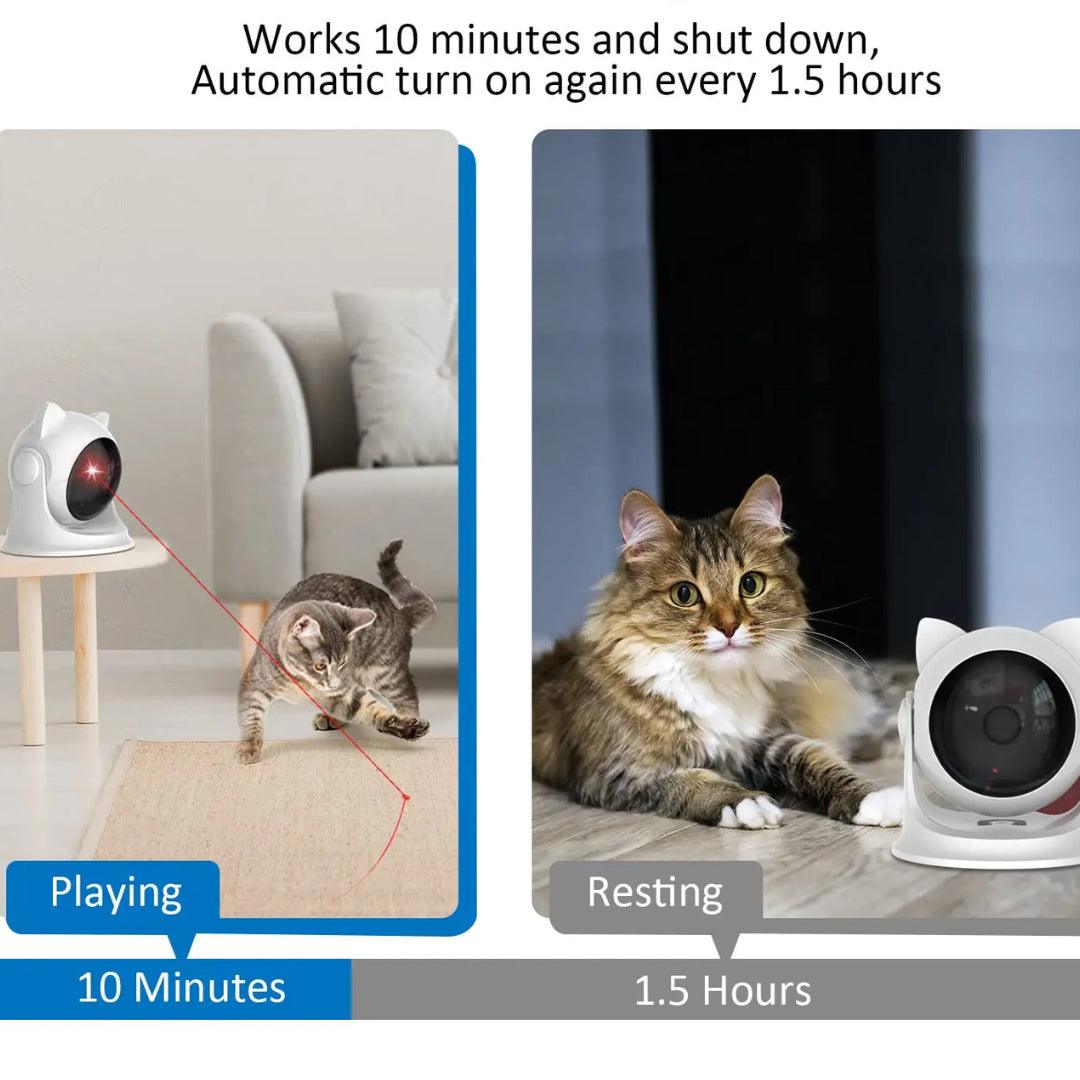 CatCam Interactive Cat Laser Pointer Cat Toys KittyNook Cat Company   