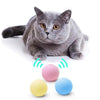 Catnip Training Ball Smart Cat Toy - KittyNook