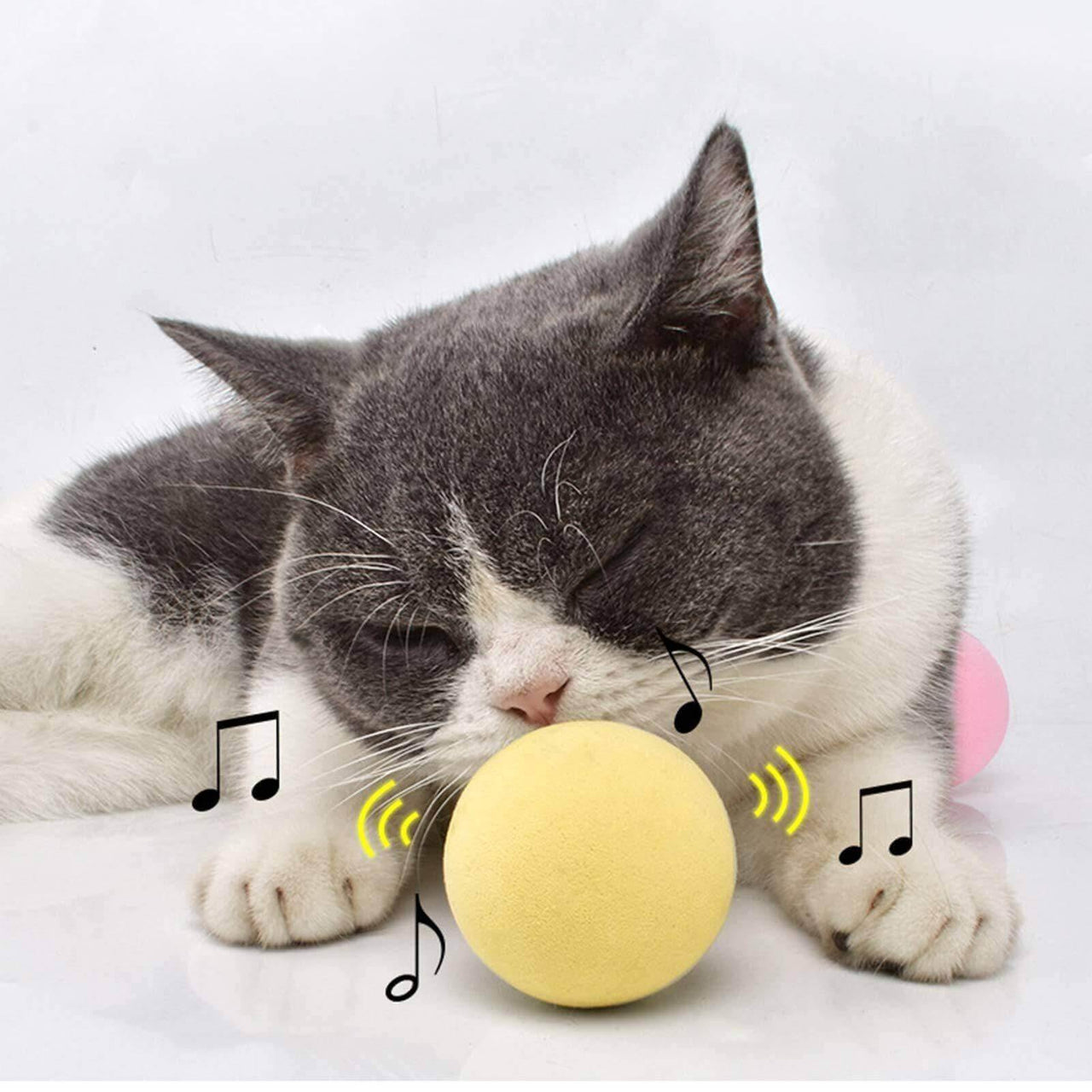 Catnip Training Ball Smart Cat Toy With Sound Cat Toys KittyNook   