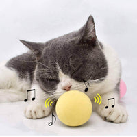 Thumbnail for Catnip Training Ball Smart Cat Toy With Sound Cat Toys KittyNook   