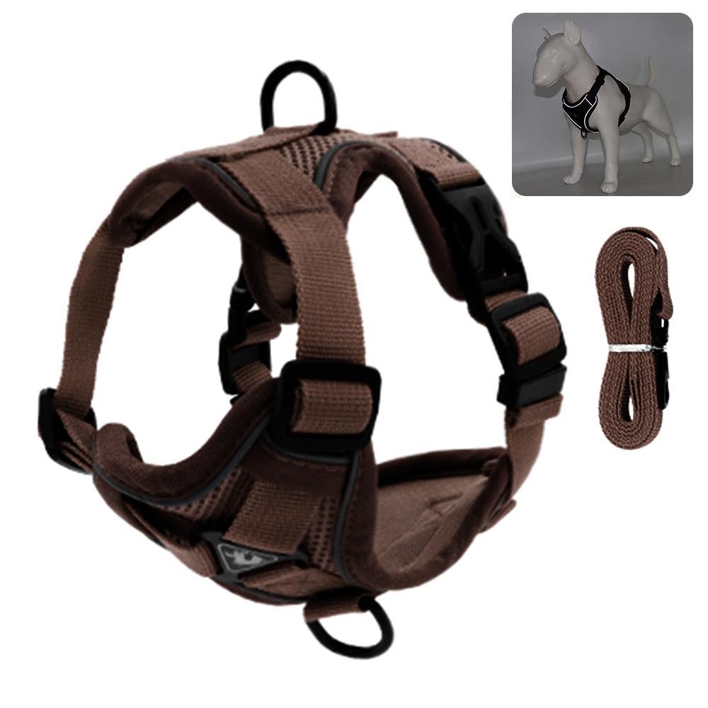 Catventures Leash and Harness - KittyNook Cat Company
