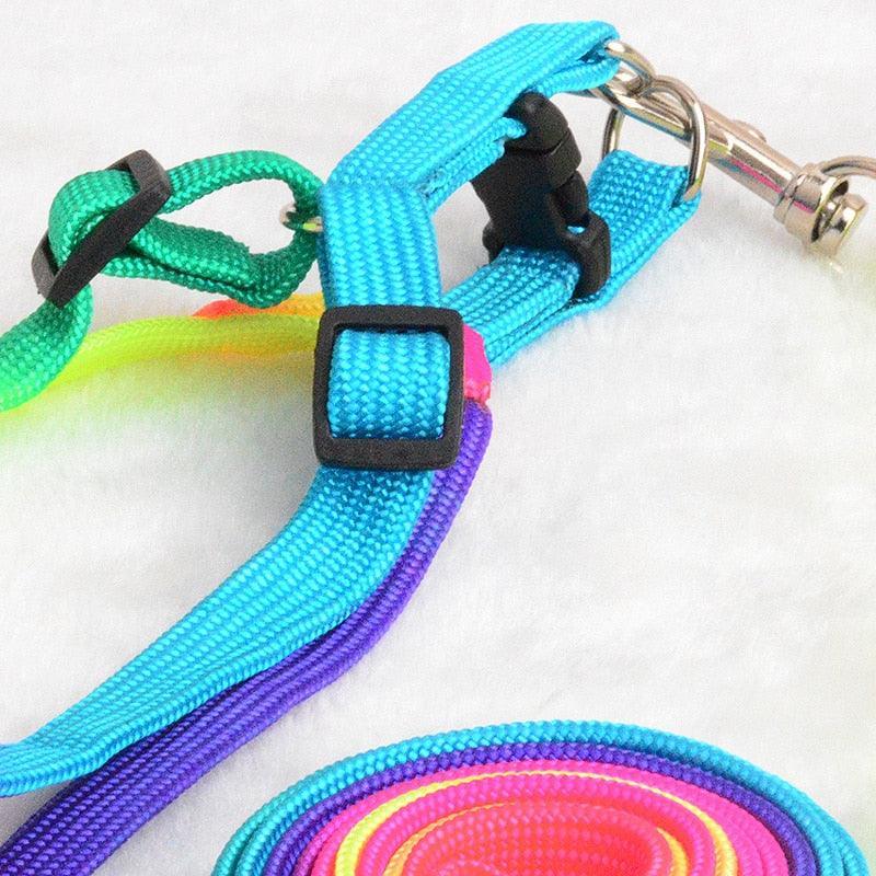 Colorburst Lupine Pet Leash - KittyNook Cat Company