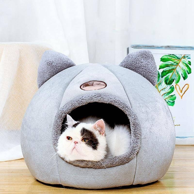 Cozy Cat Cave - KittyNook