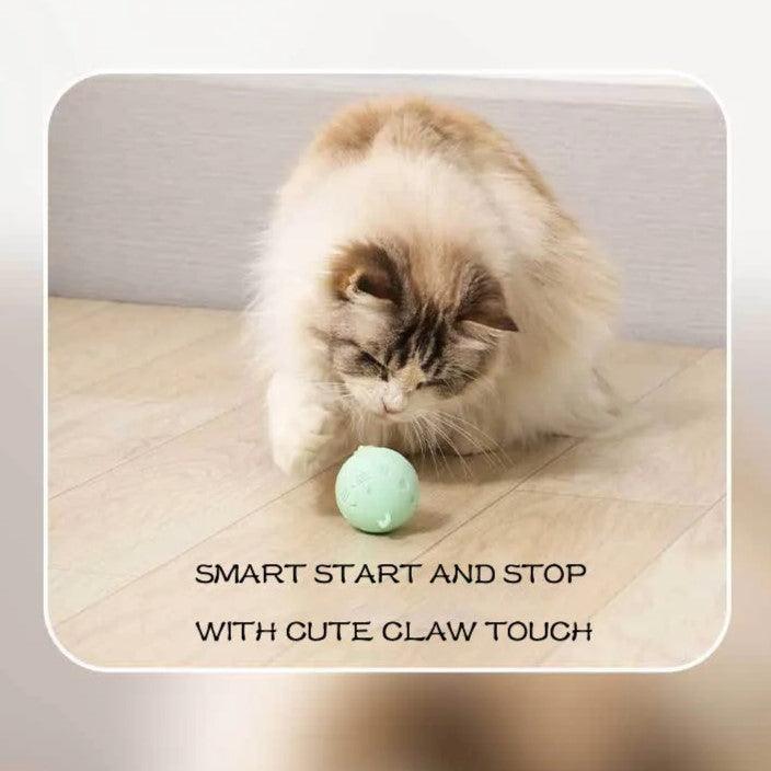 Crazy Ball Interactive Cat Toy Cat Toys KittyNook Cat Company   