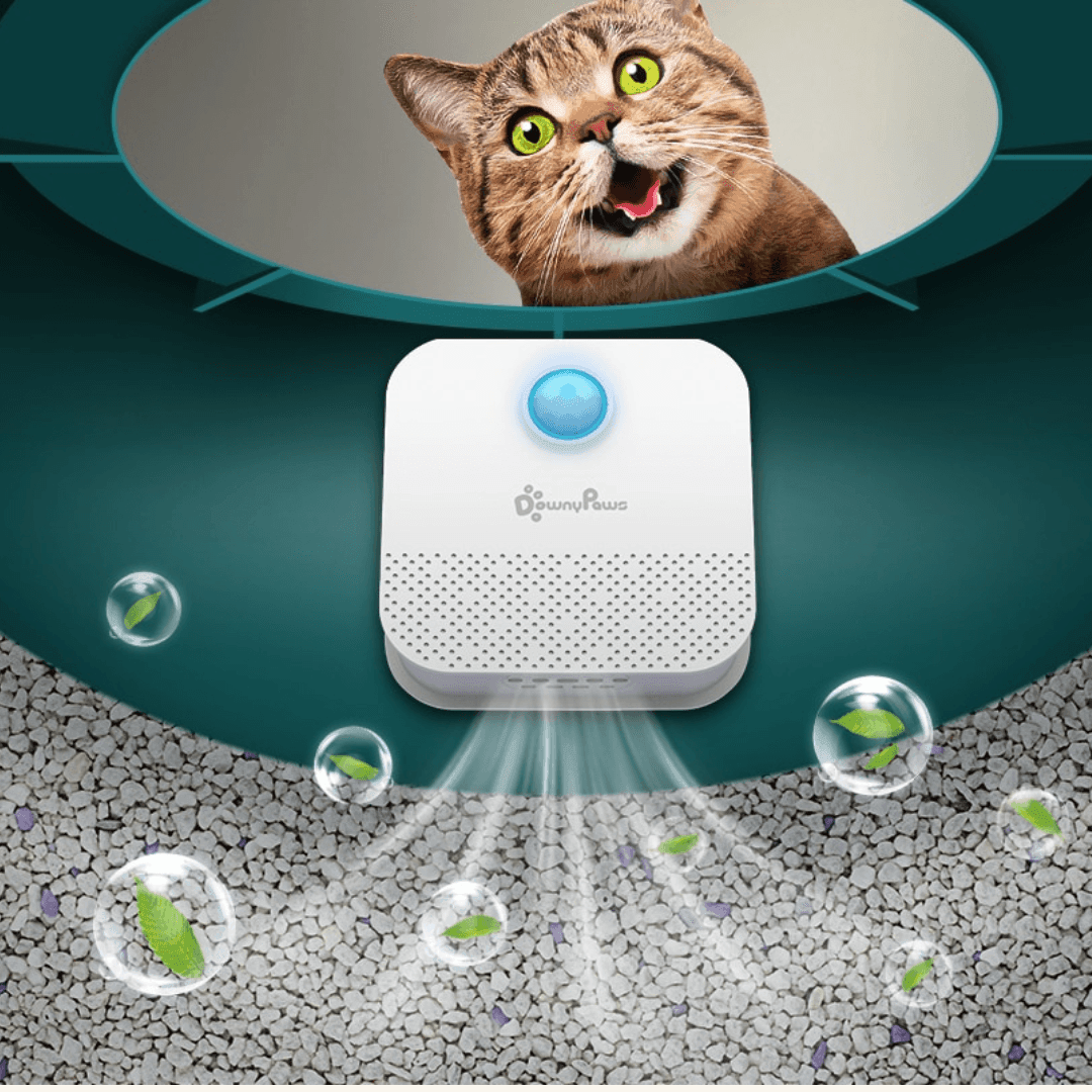 Air purifier for online litter box odor