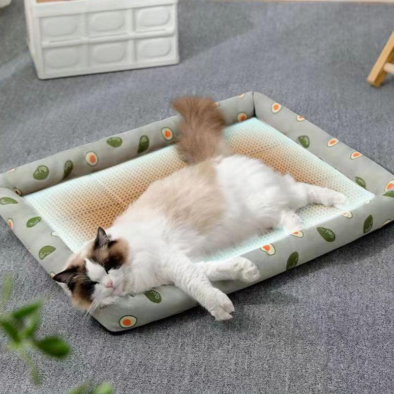Dreamy Rattan Retreat Lightweight Cat Bed - KittyNook Cat Company