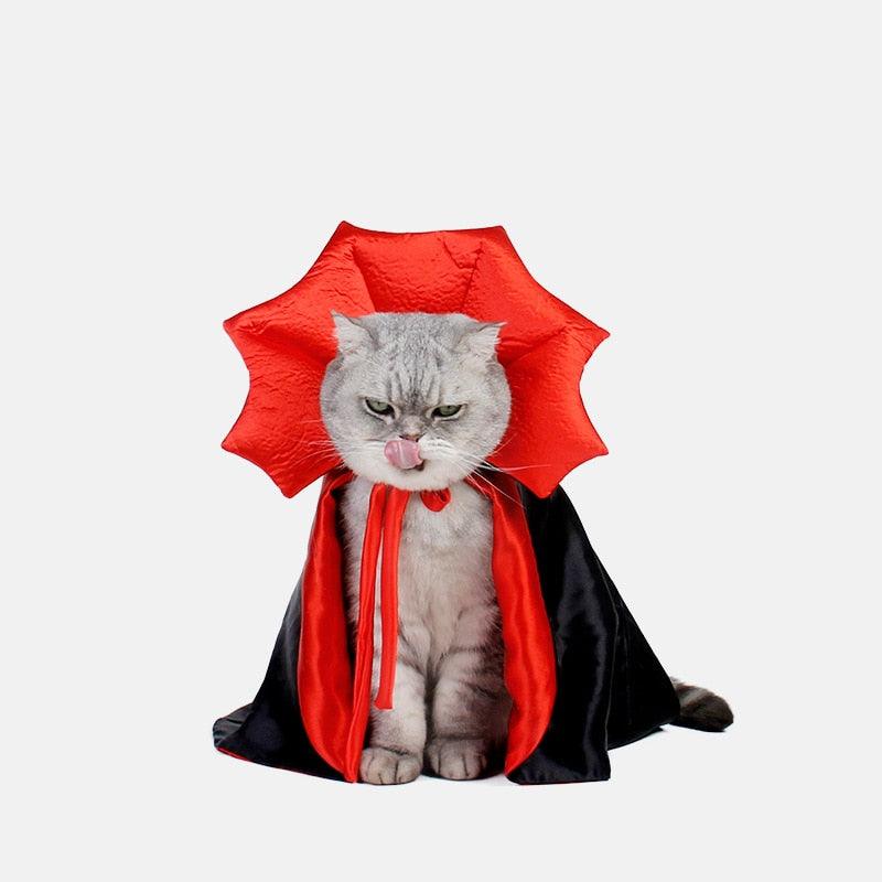 Fangtastic Vampire Cat Costume - KittyNook Cat Company
