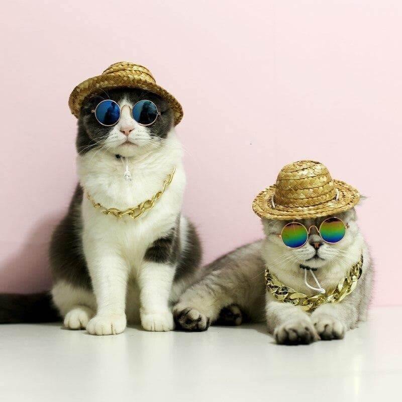 Fashionesque Multicolored Pet Glasses Cat Apparel KittyNook   