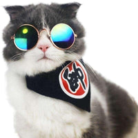 Thumbnail for Fashionesque Multicolored Pet Glasses Cat Apparel KittyNook   