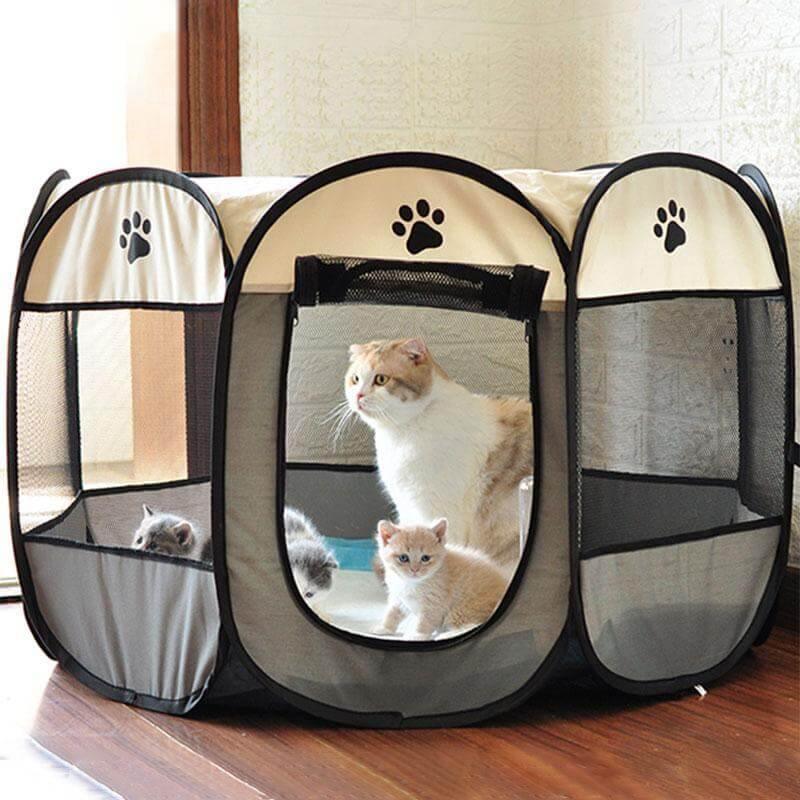 Foldie Portable Cat Playpen - KittyNook