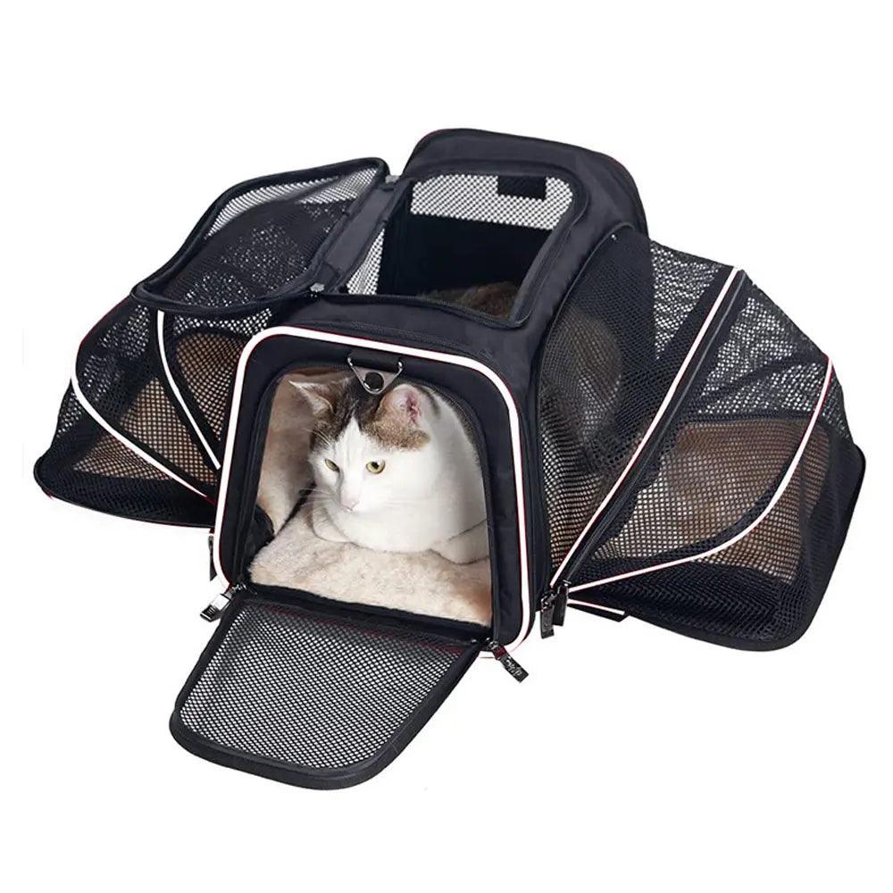 Go Cat Expandable Cat Carrier Cat Supplies KittyNook Cat Company White  