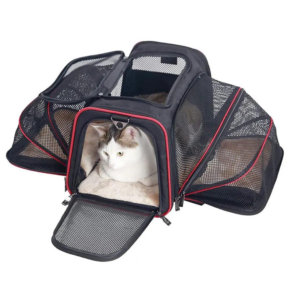 Go Cat Expandable Cat Carrier Cat Supplies KittyNook Cat Company   