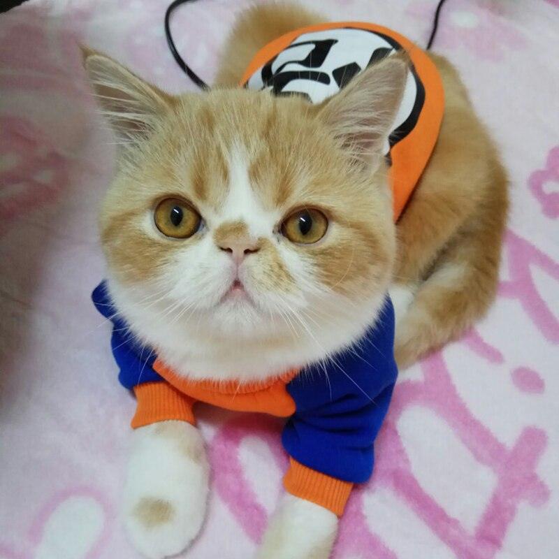 Goku Cat Costume - KittyNook Cat Company