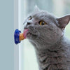Healthy Cat Snacks - Nutritious Jelly Ball - KittyNook